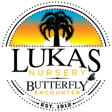 Adventure #34 - Butterflies!!