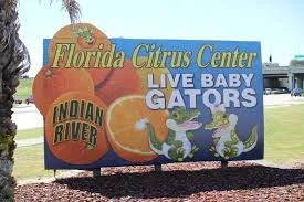 Adventure #41- Florida Citrus Center