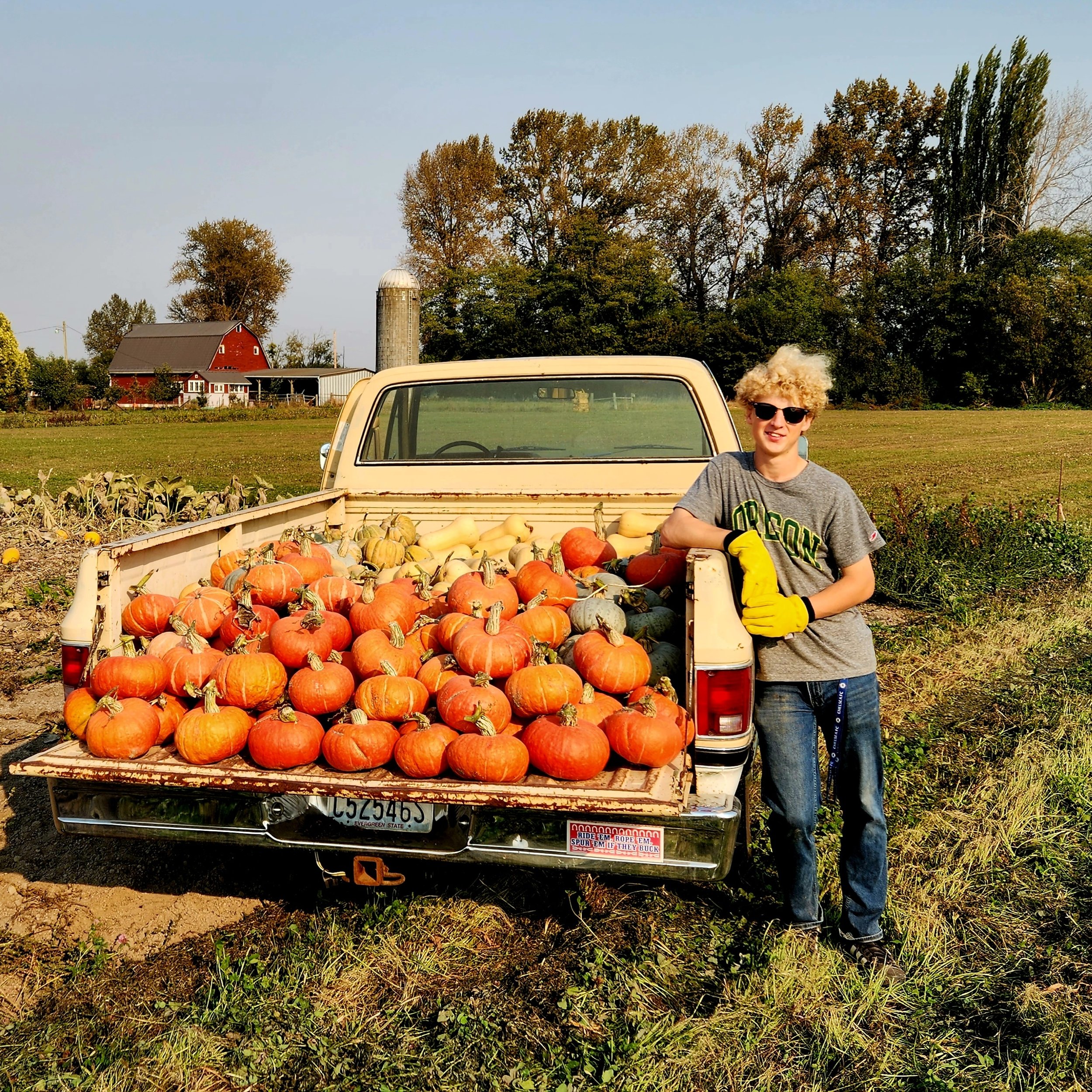 Milo and Pumpkins.jpg