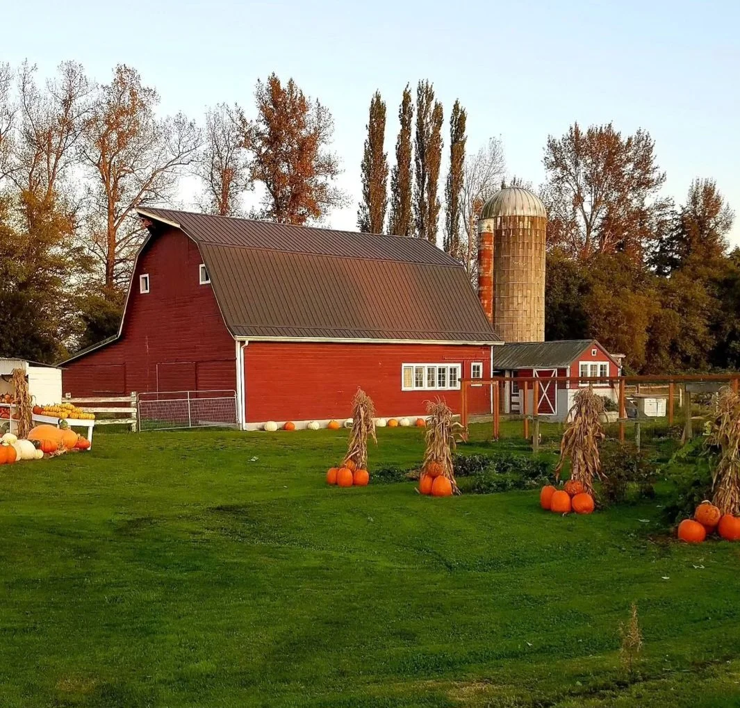 barn ws.jpg
