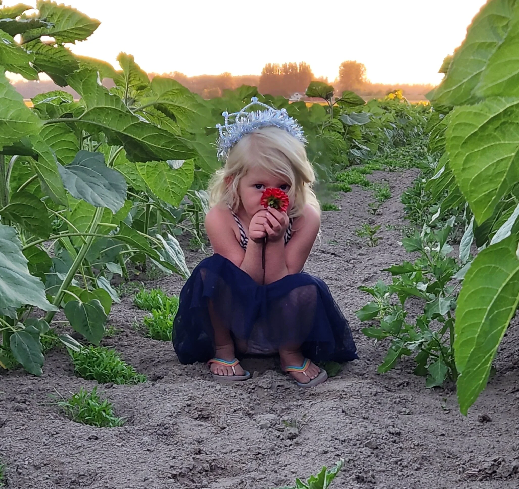 Photo lily with flower.jpg