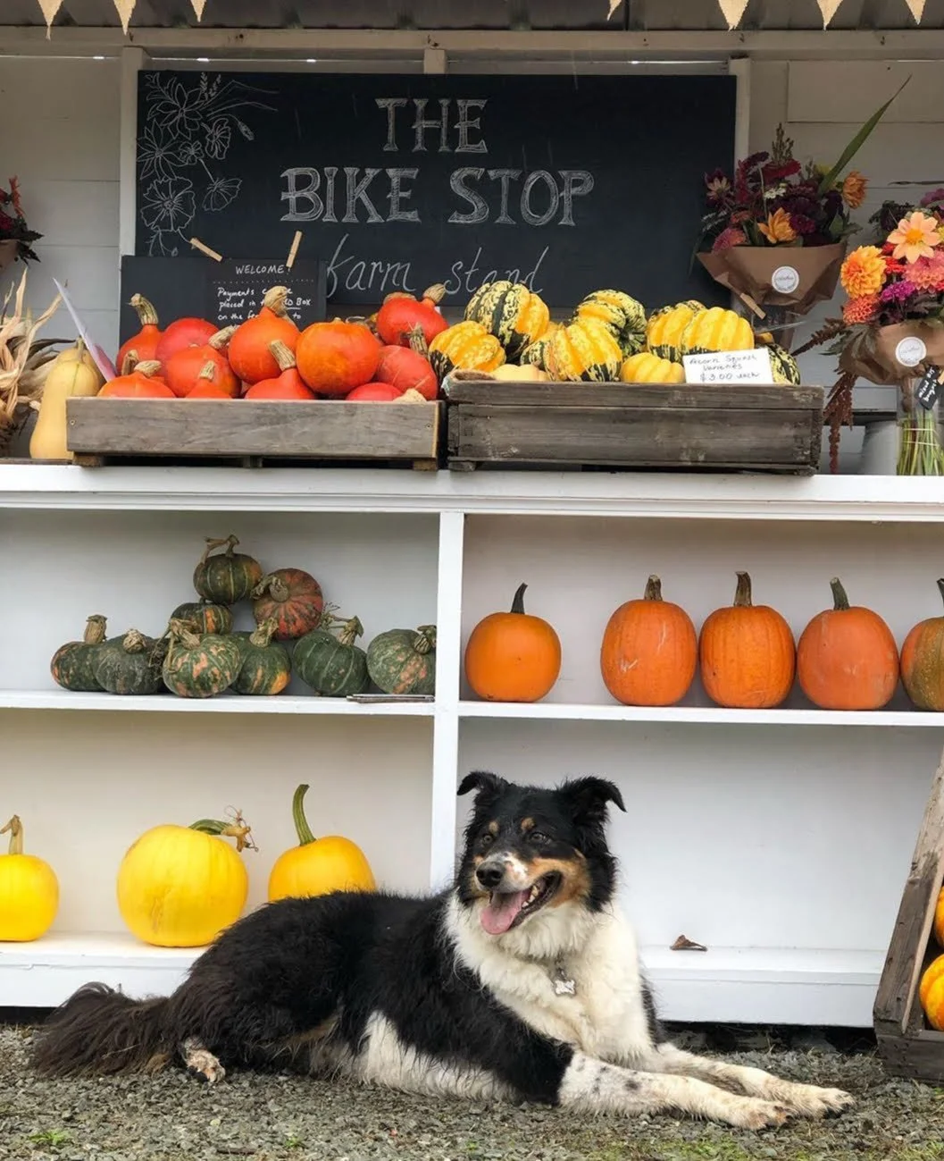 Ruxin at the Bikestop.jpg