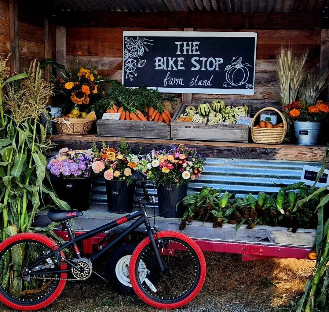 Bike stop Helios bike 2.jpg