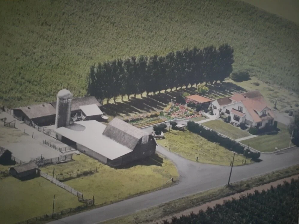 Barn Arial Shot 1960s.jpg