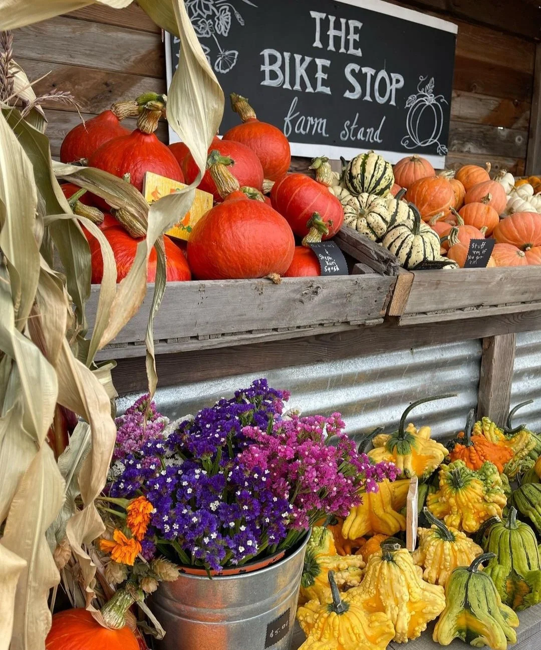 Bike stop farm stand ws 1 (1).jpg