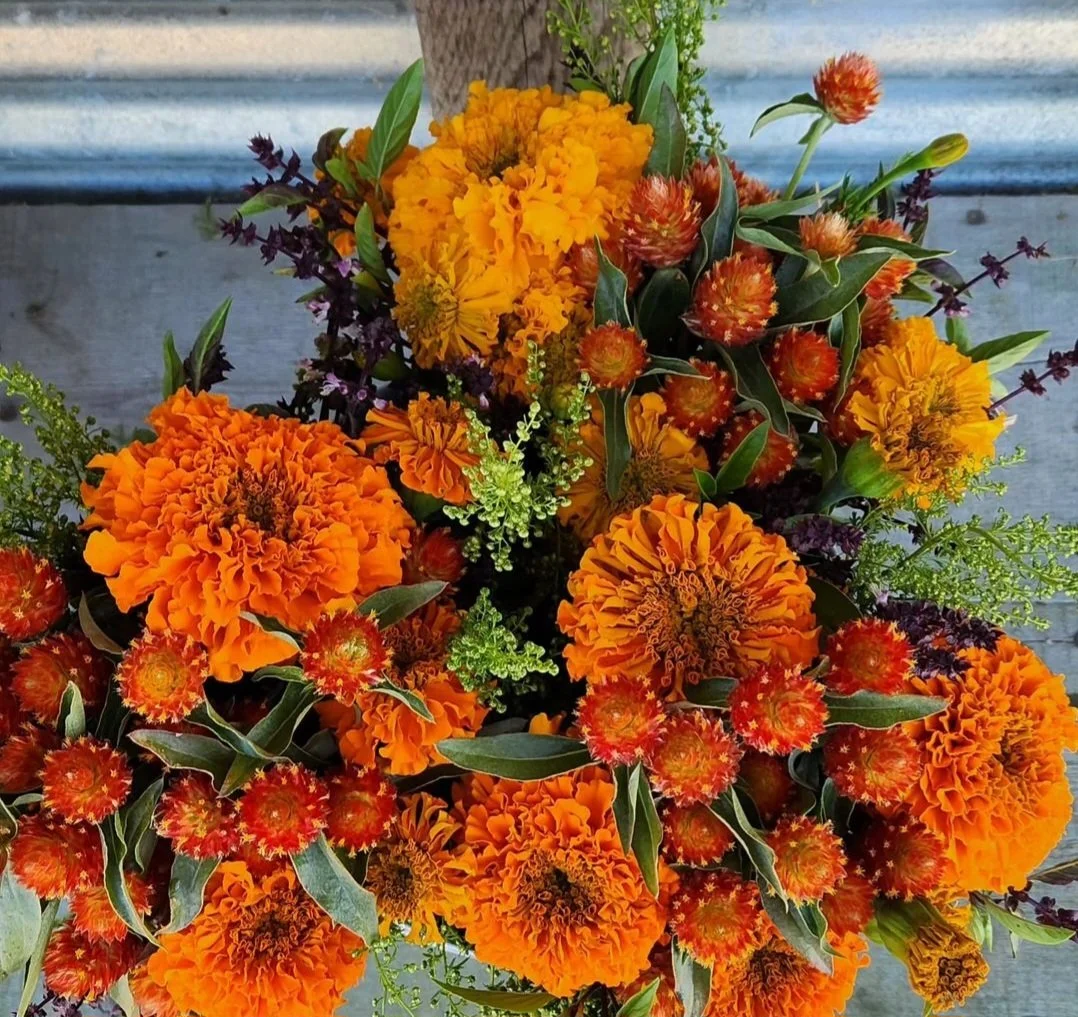 marigold bouquet.jpg