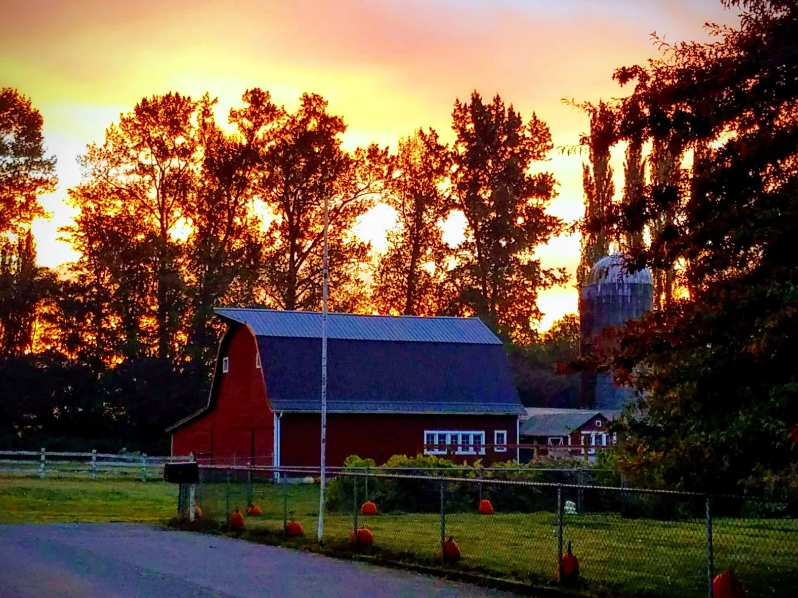 Old William's Barn  Moore Road.jpg
