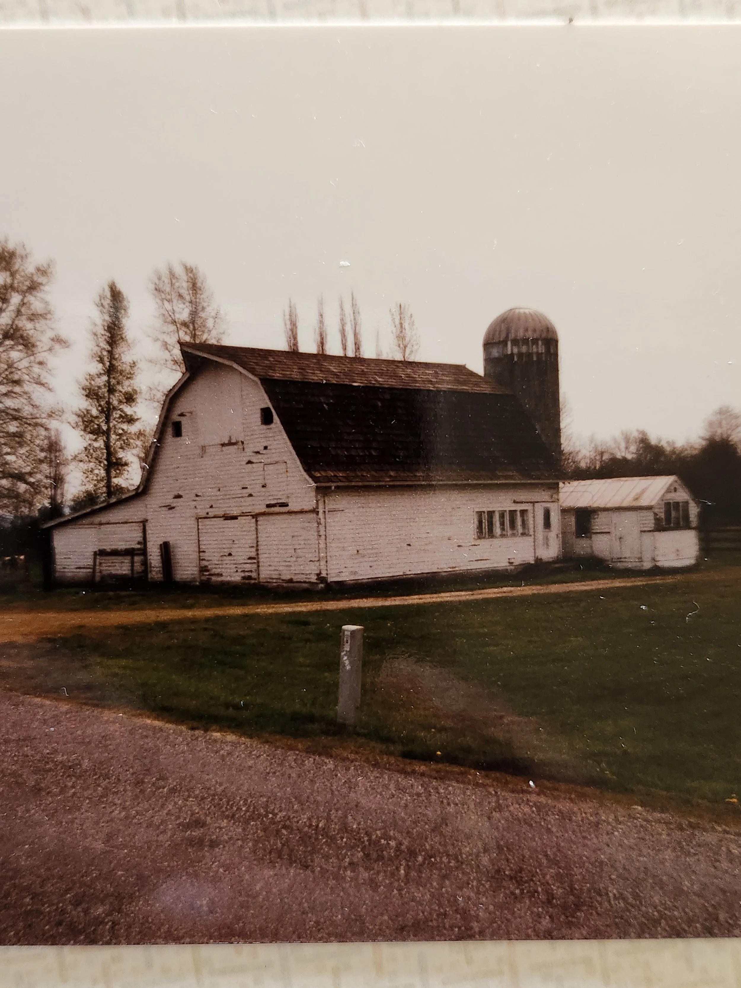Barn white 1960s.jpg
