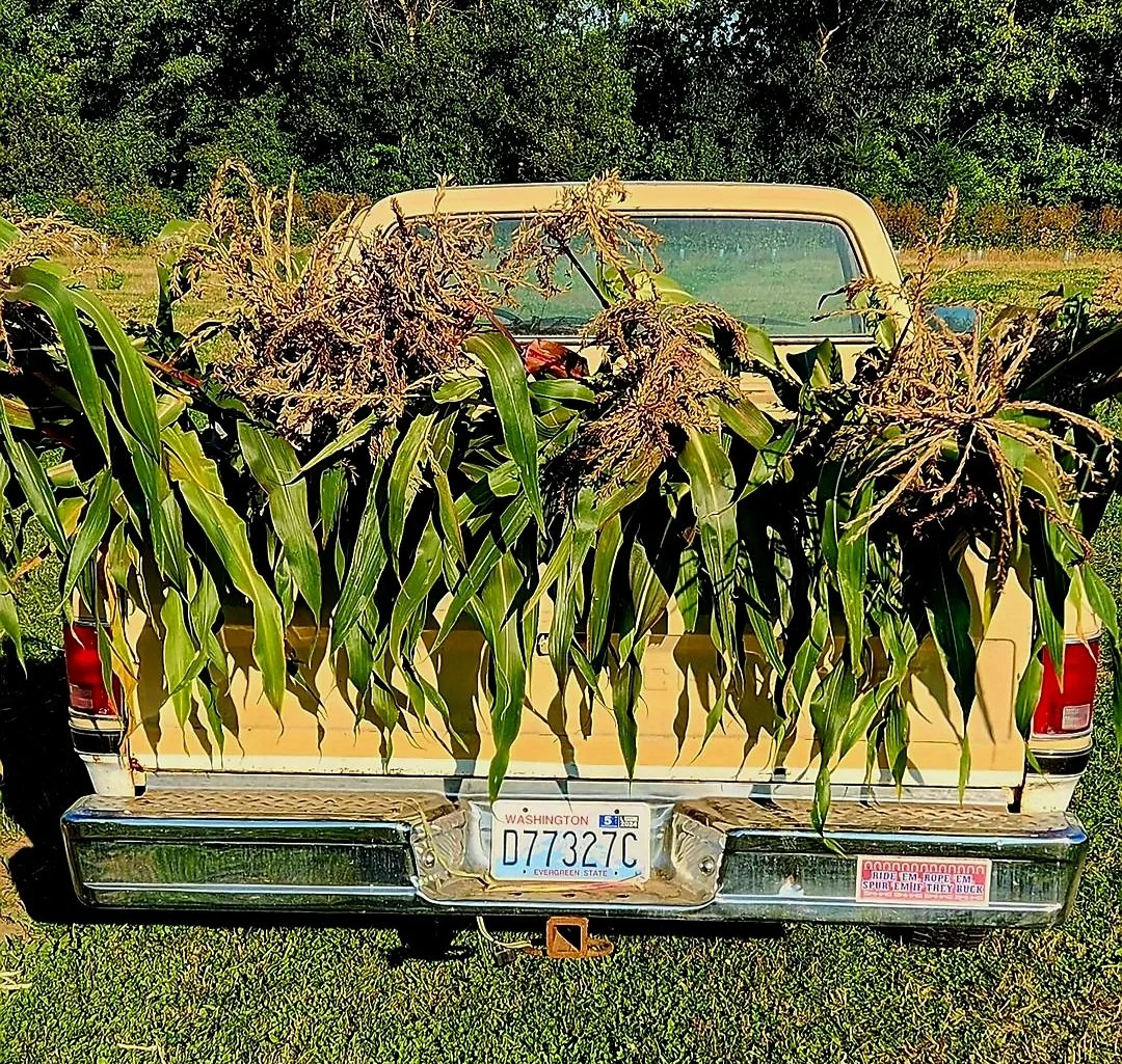 Truck with Corn.jpg