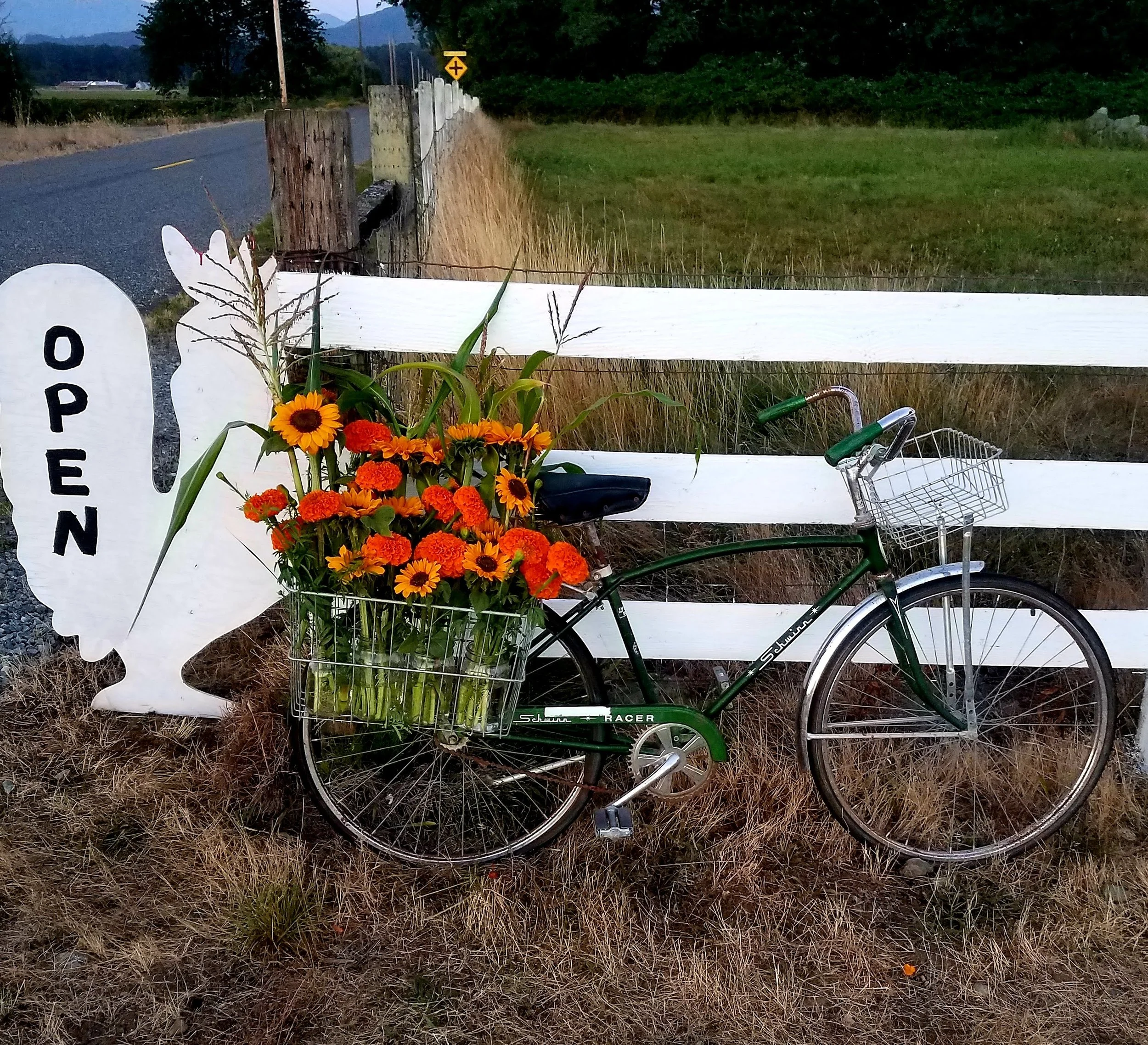 Bike stop open sign.jpg