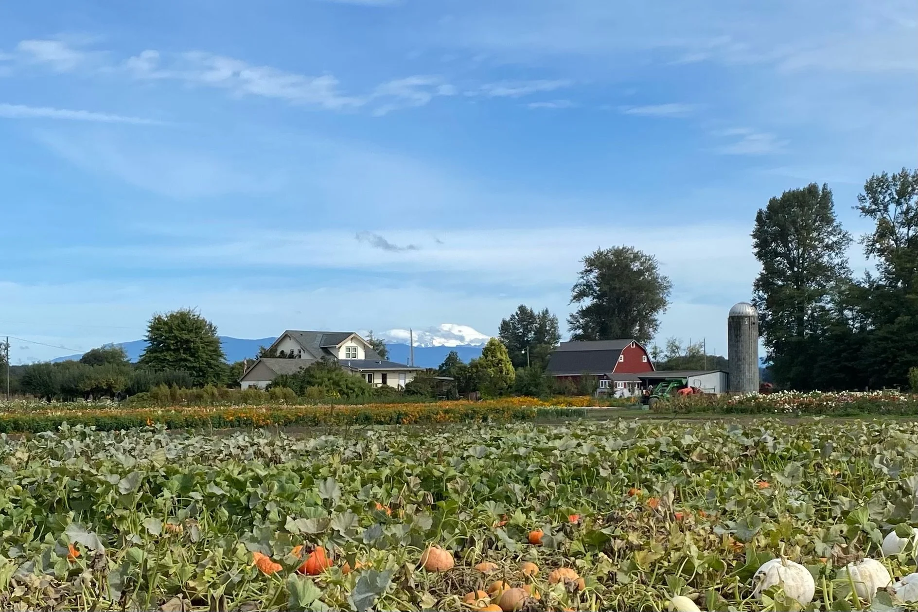Barn House and Baker.jpg