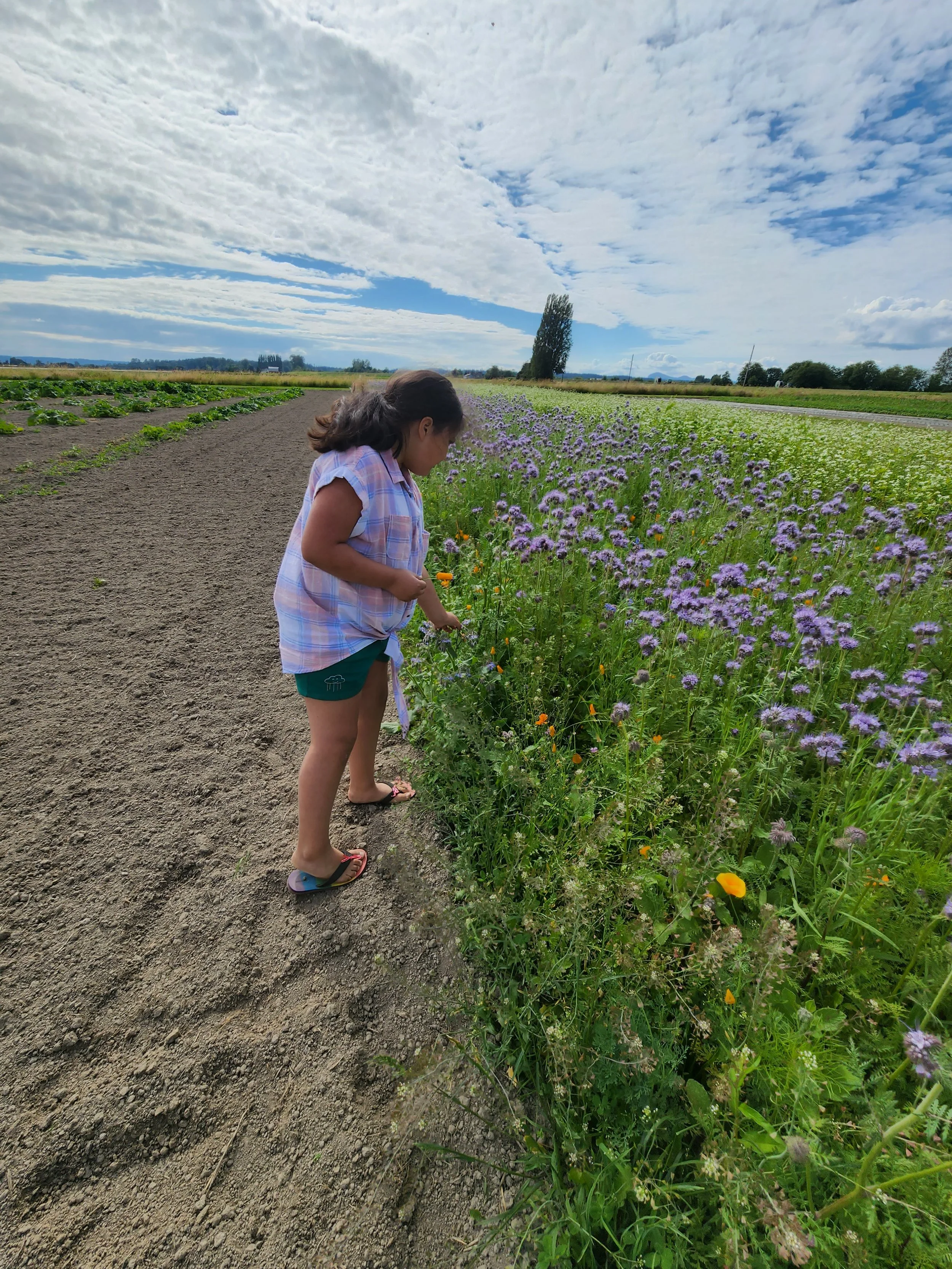 Pollinators with S.jpg