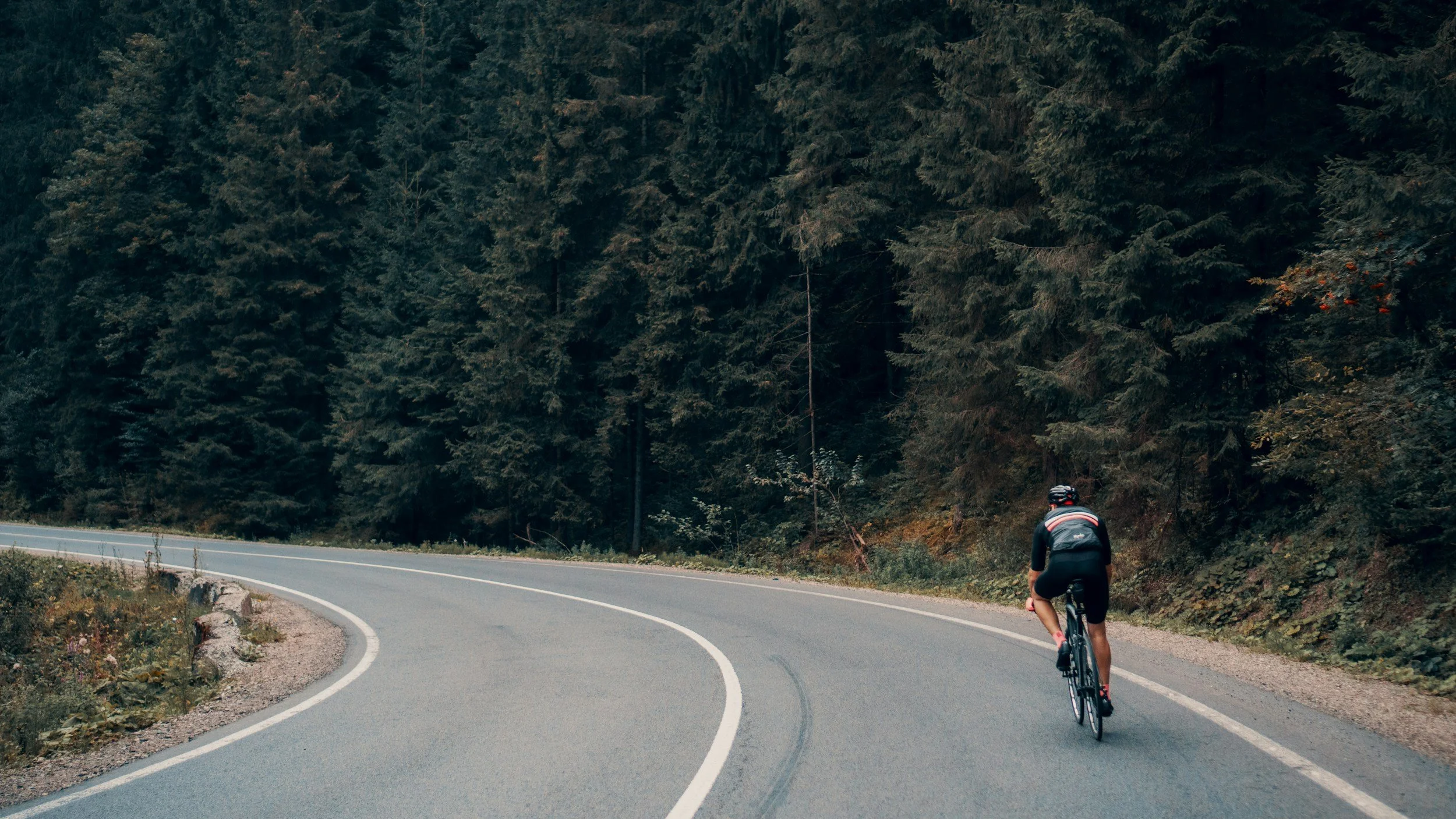 Cyclist riding a winding road through the Black Hills near Spearfish, South Dakota