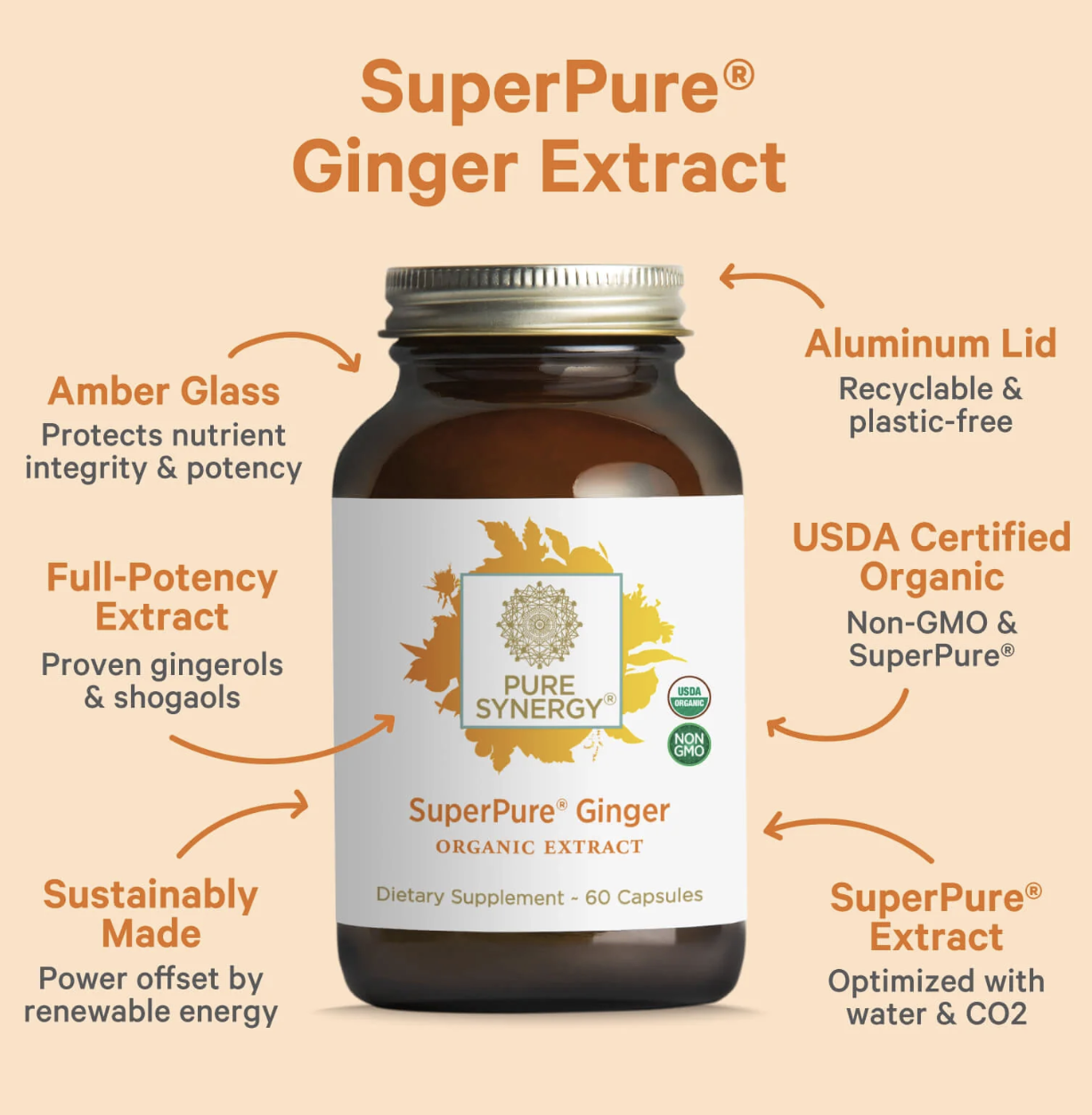 Screen Shot 2026-02-25 at 7.20.12 PM.png