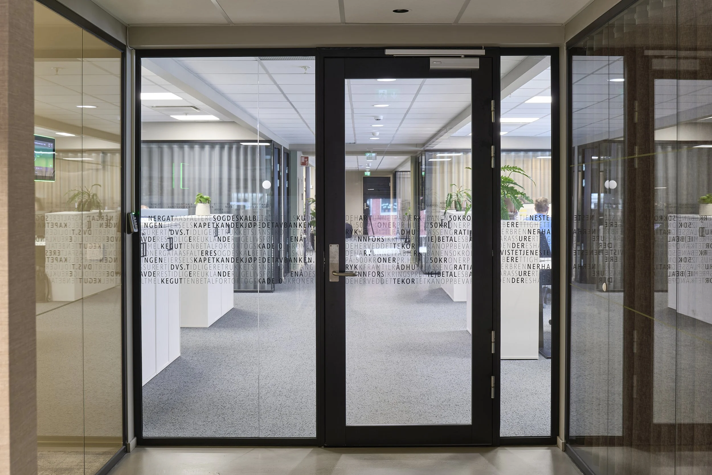 Signex 10.2.26.204.jpg