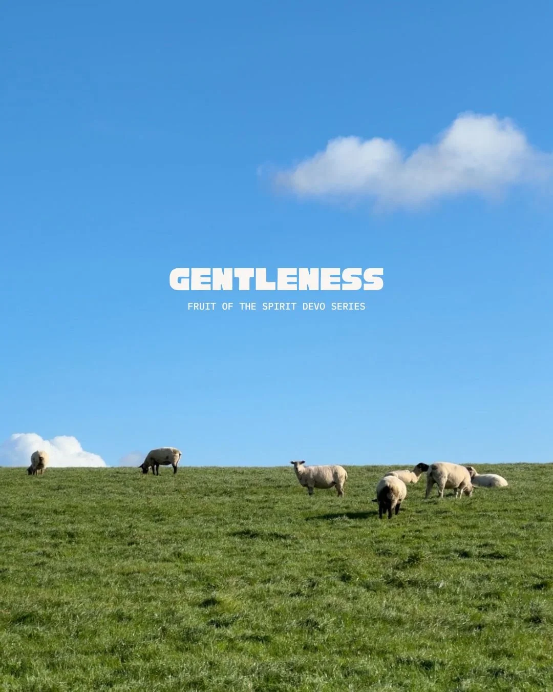 Gentleness Part 1/7