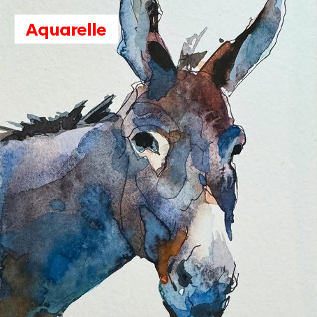 Pratique de l’Aquarelle