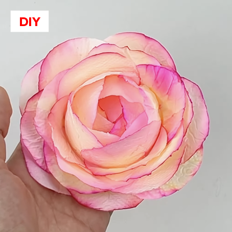 Une fleurs en attendant l’été