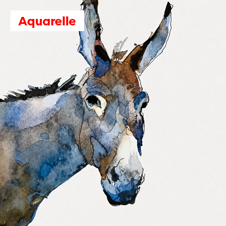 Pratique de l’Aquarelle : les 3e lundis du mois.