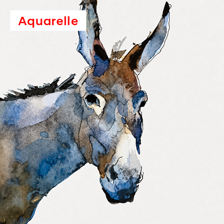 Pratique de l’Aquarelle - les 1er jeudis du mois.