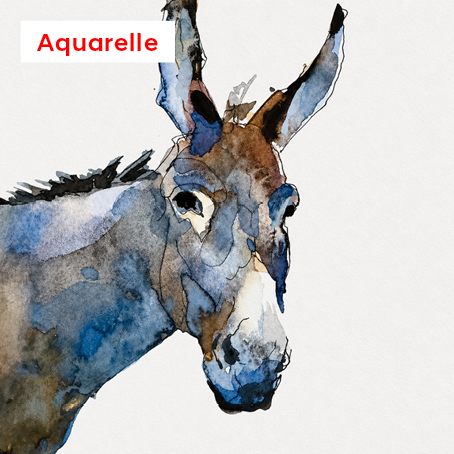 Pratique de l’Aquarelle • Atelier ADULTES