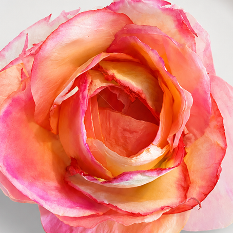 Vignette-DIY-fleur-juin.png