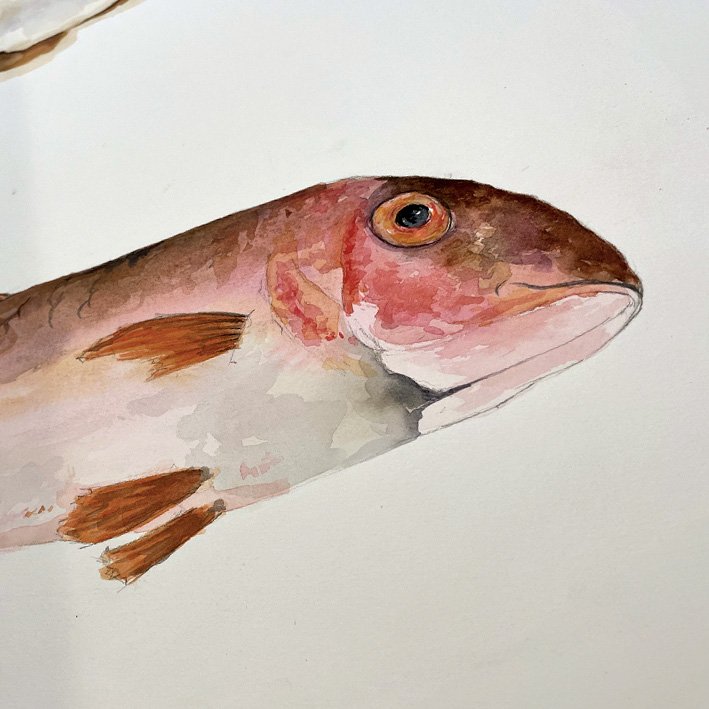 Aquarelle_06.jpg