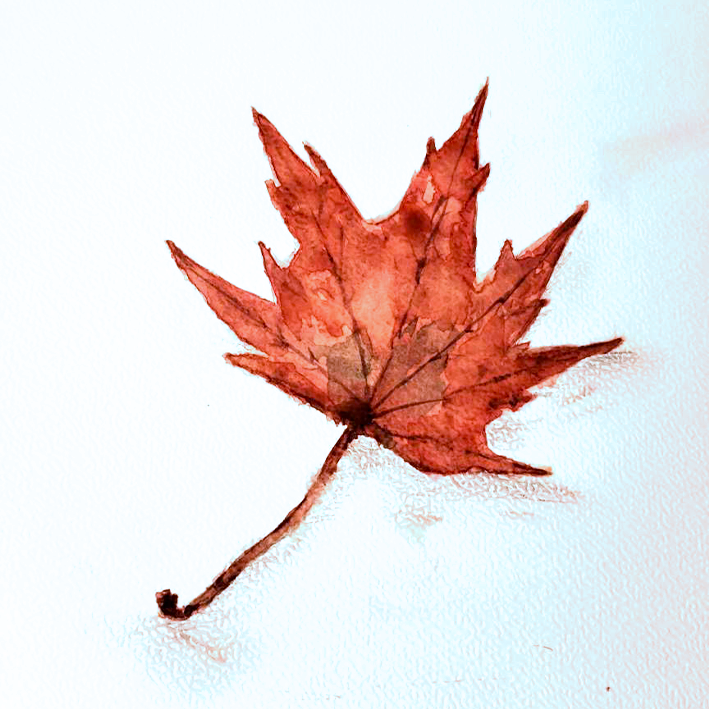Site_page_ponctuel_Fevrier_0000_aquarelle_Alix.png