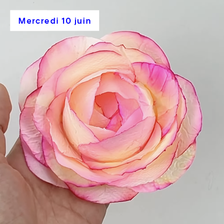 Vignette-DIY-fleur-juin2.png