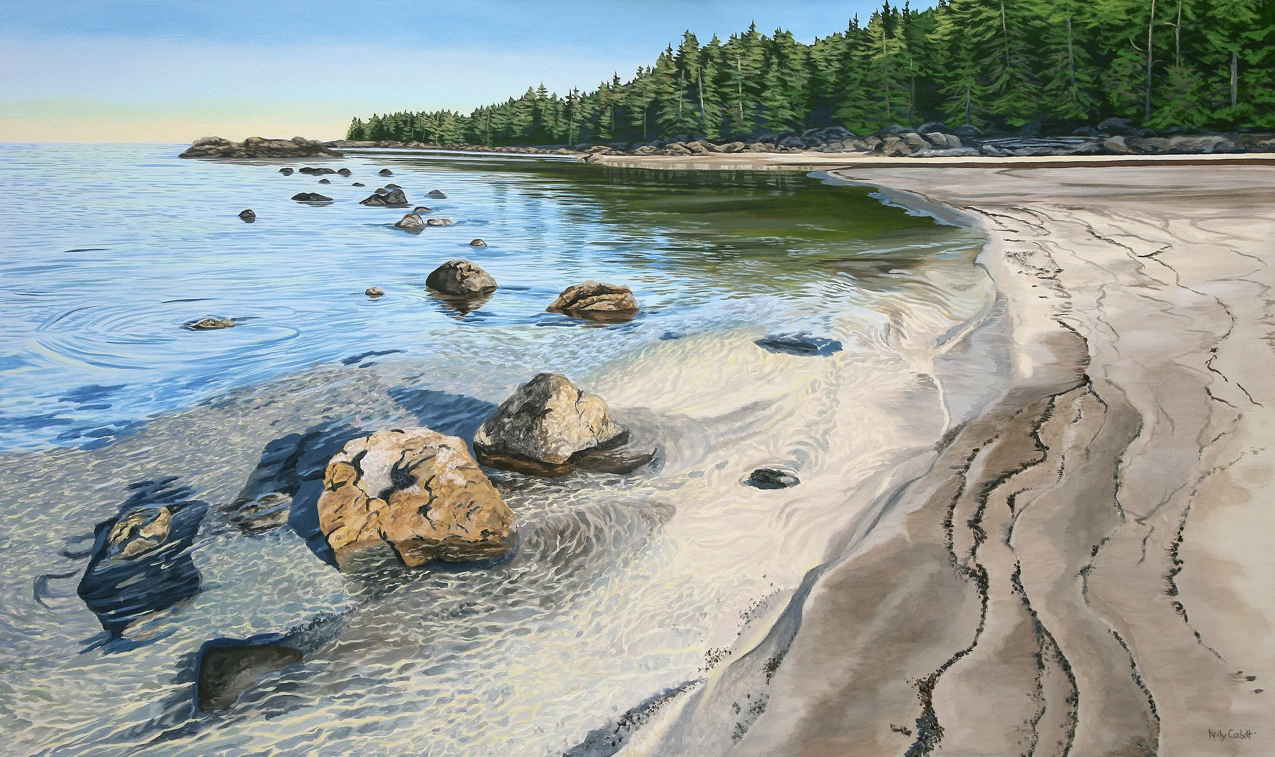 A peaceful beach with rocks in the shallow water, a sandy shoreline with cracks, and a background of green forested trees under a blue sky.