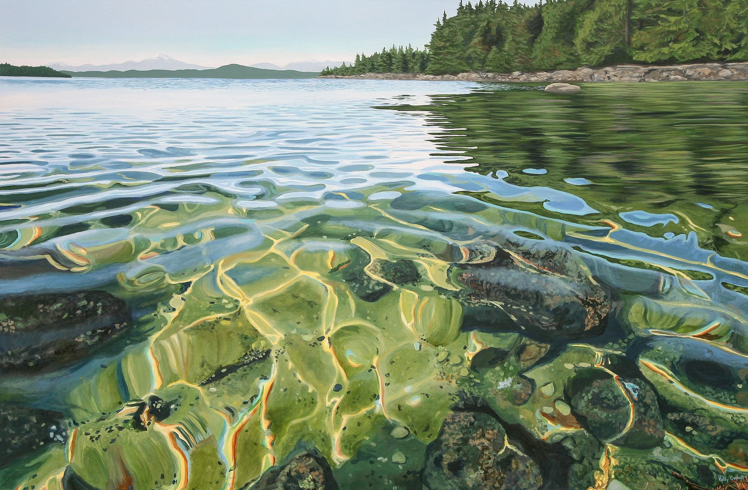 Clear water and rocks at a lakeshore with a forested shoreline and distant mountains in the background.