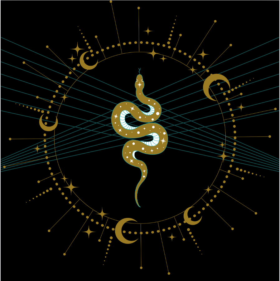 A new Name for a new identity 🐍