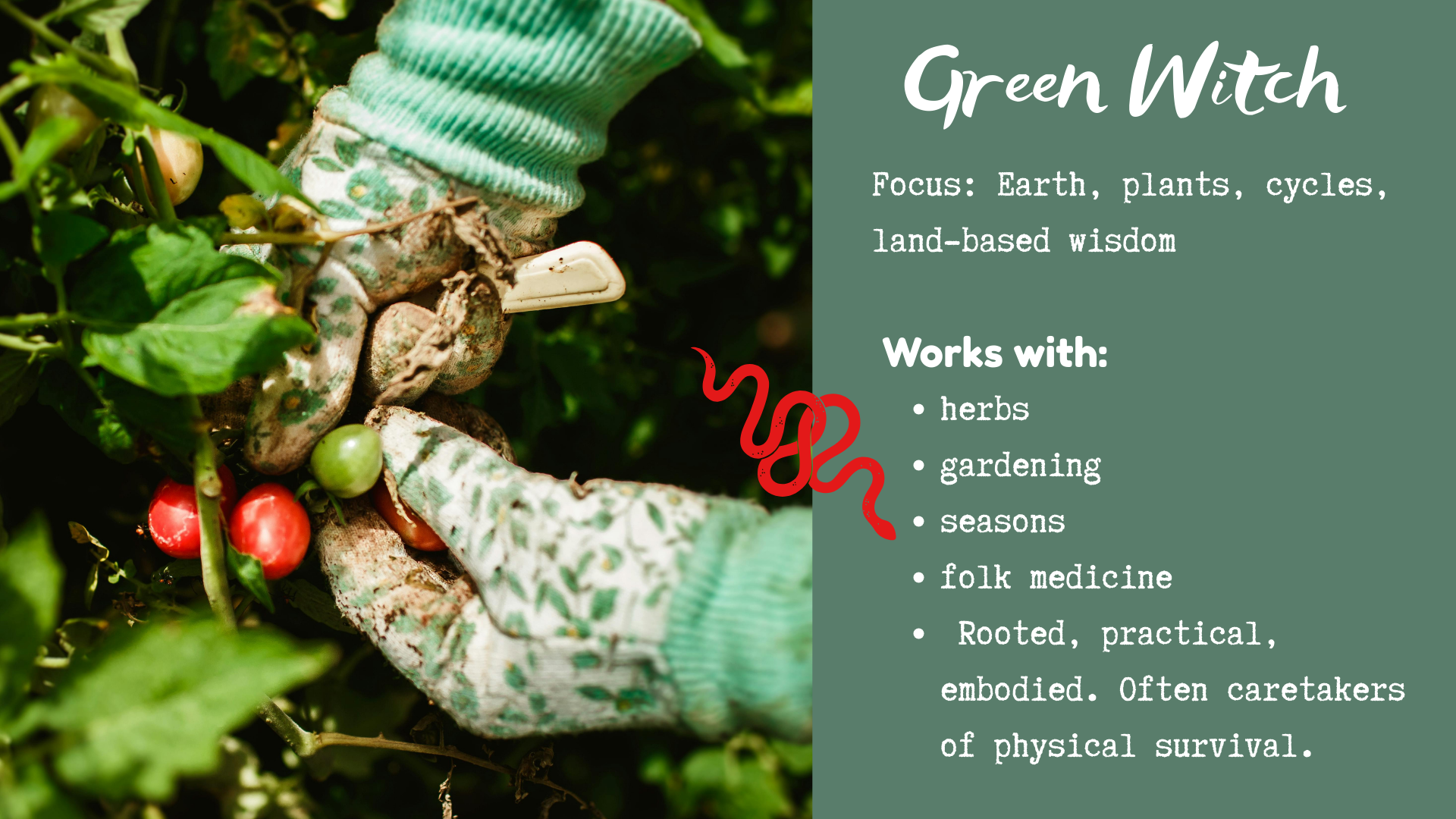 Cobras and claws (6).png