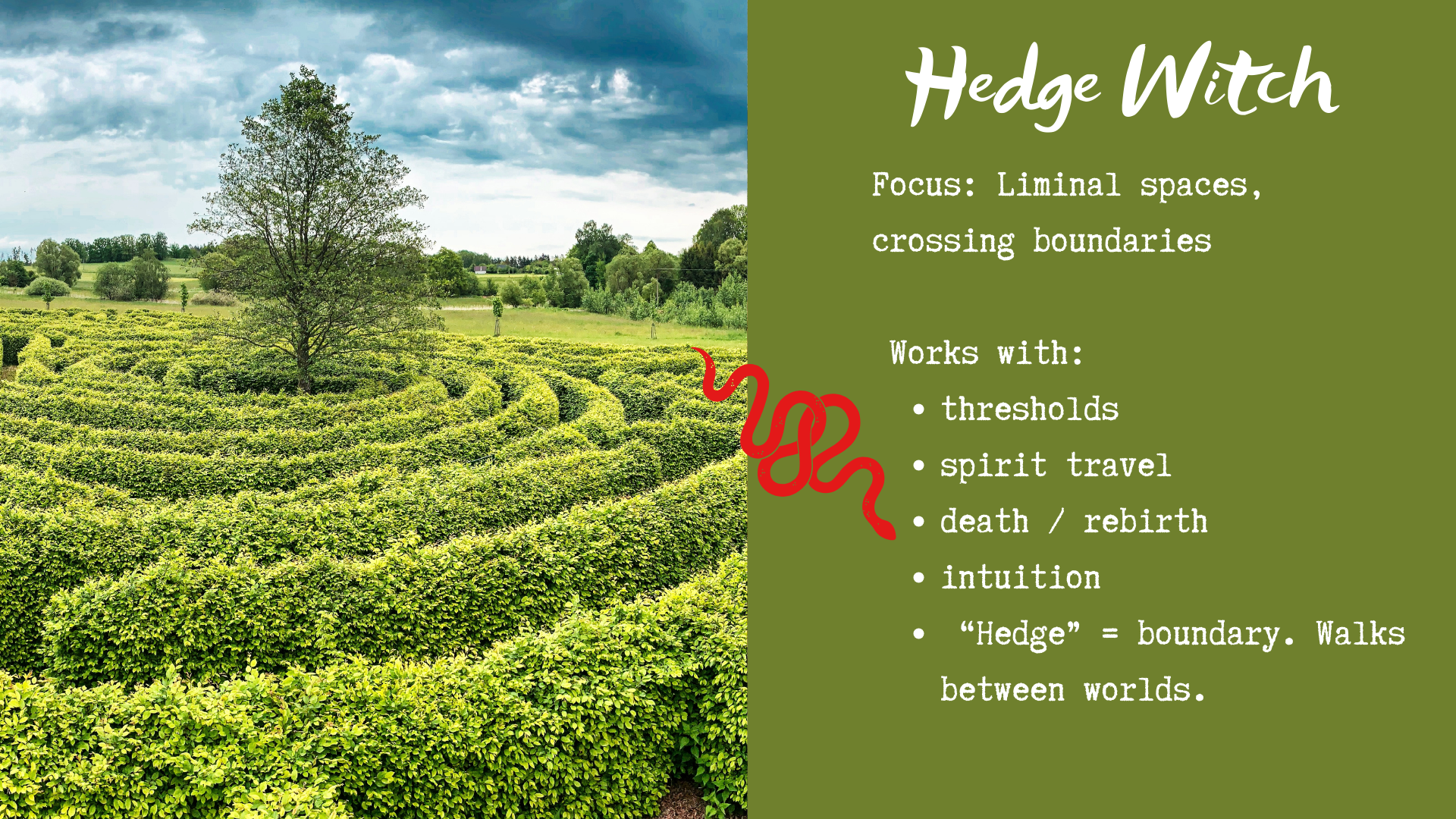 Cobras and claws (8).png