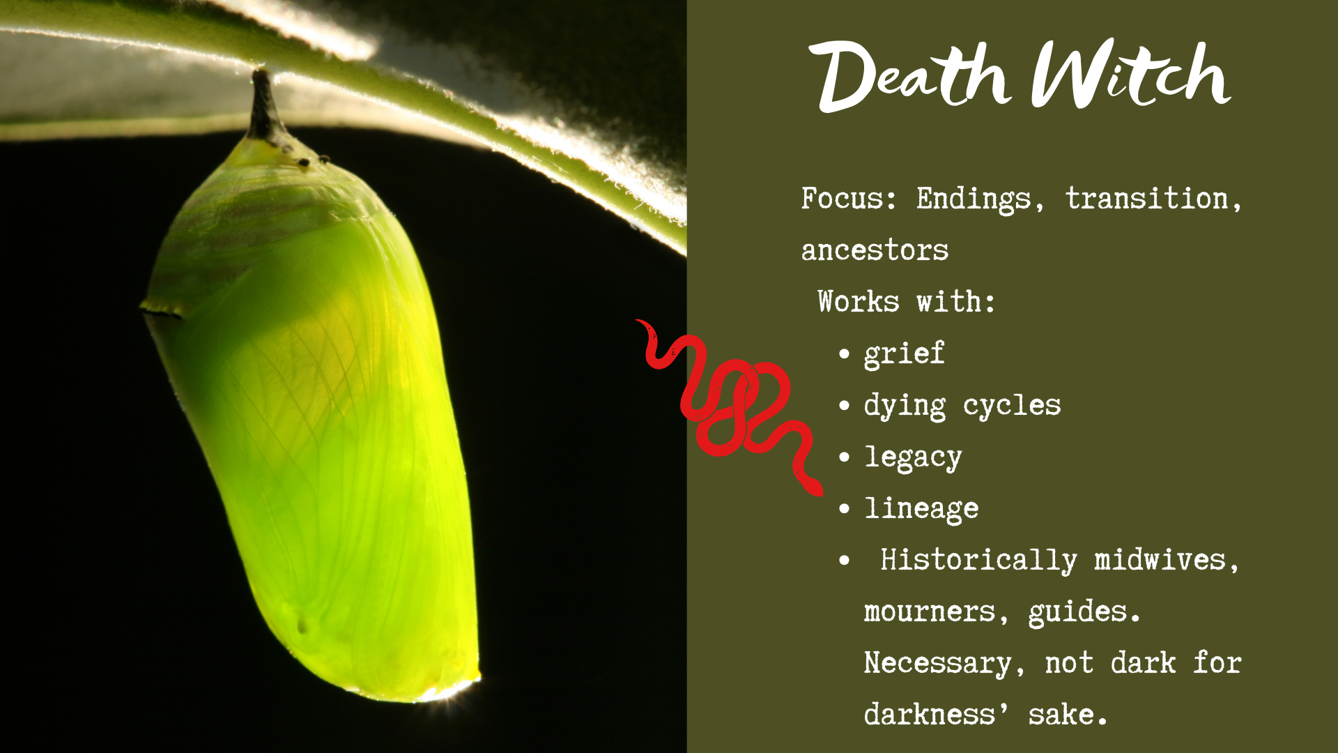 Cobras and claws (14).png