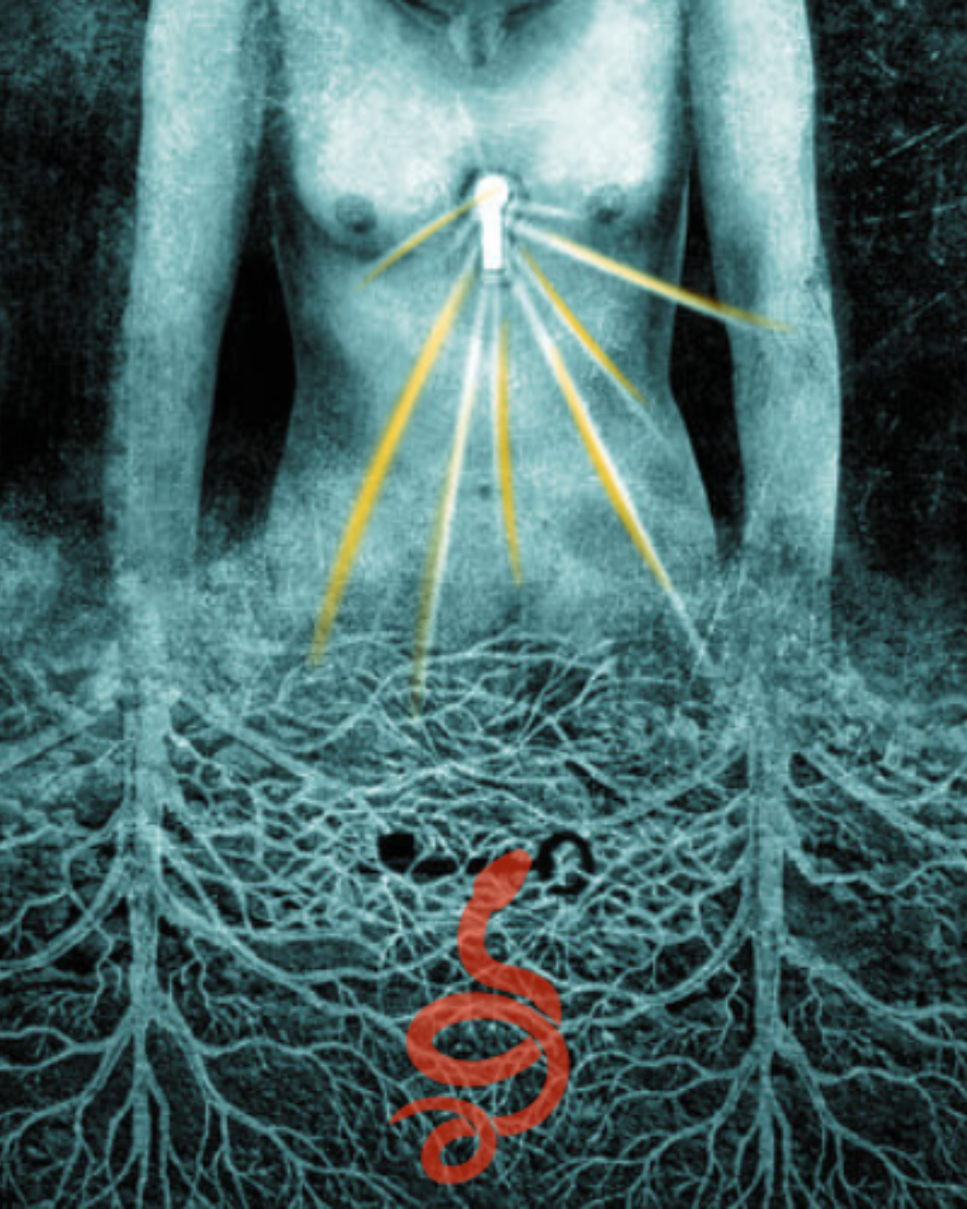 Reclamation of Power