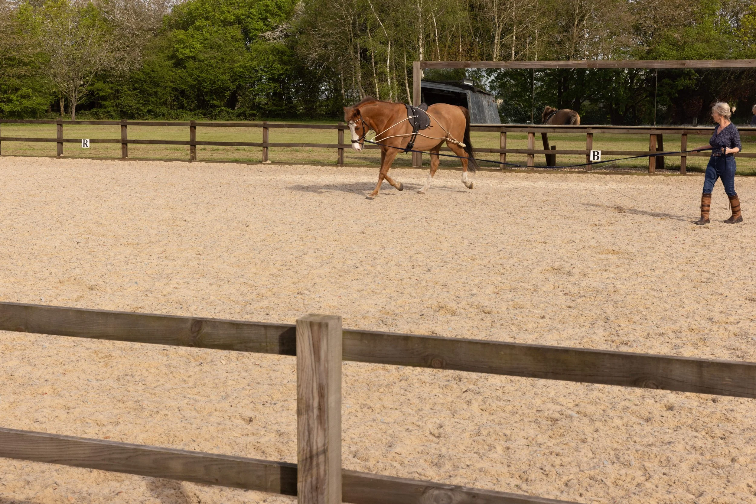 Chapel Farm — Chapel Barn