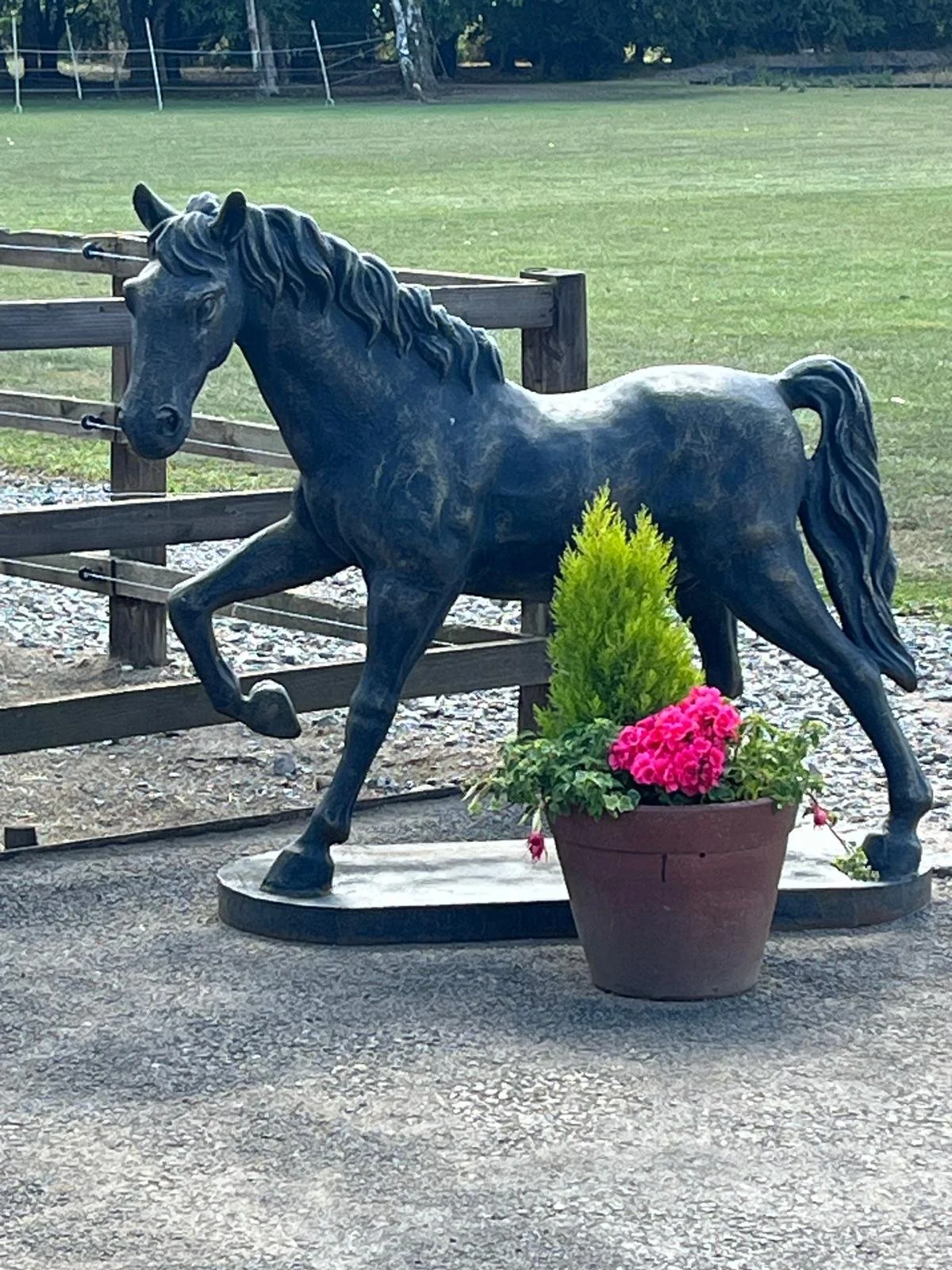 WhatsApp Image 2025-08-21 at 19.30.02.jpeg