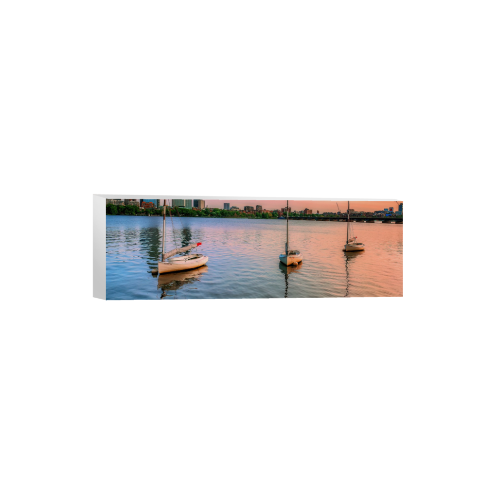 ptq_7_2_0_910_4068_1356_0_false_ffffff_0_0_.png