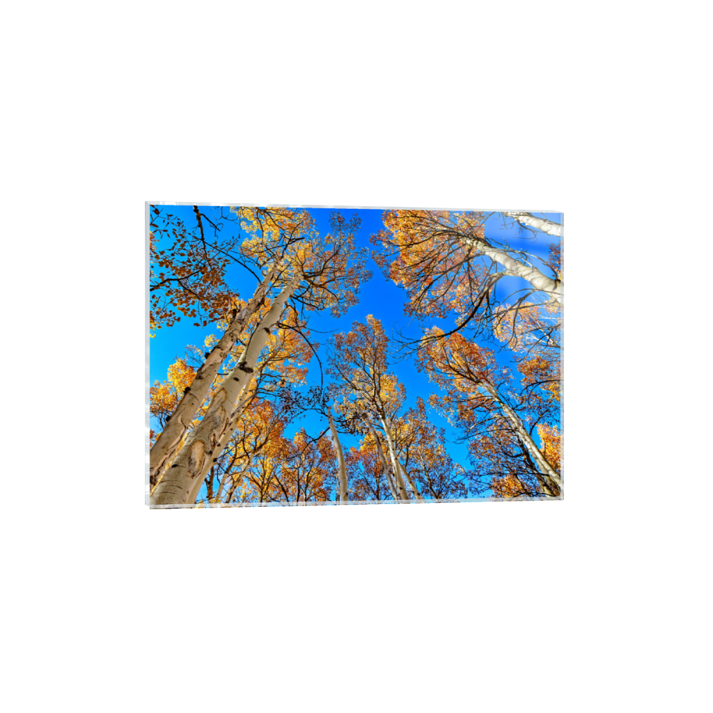 ptq_17_7_182_0_5107_3648_0_false_ffffff_0_0_.png
