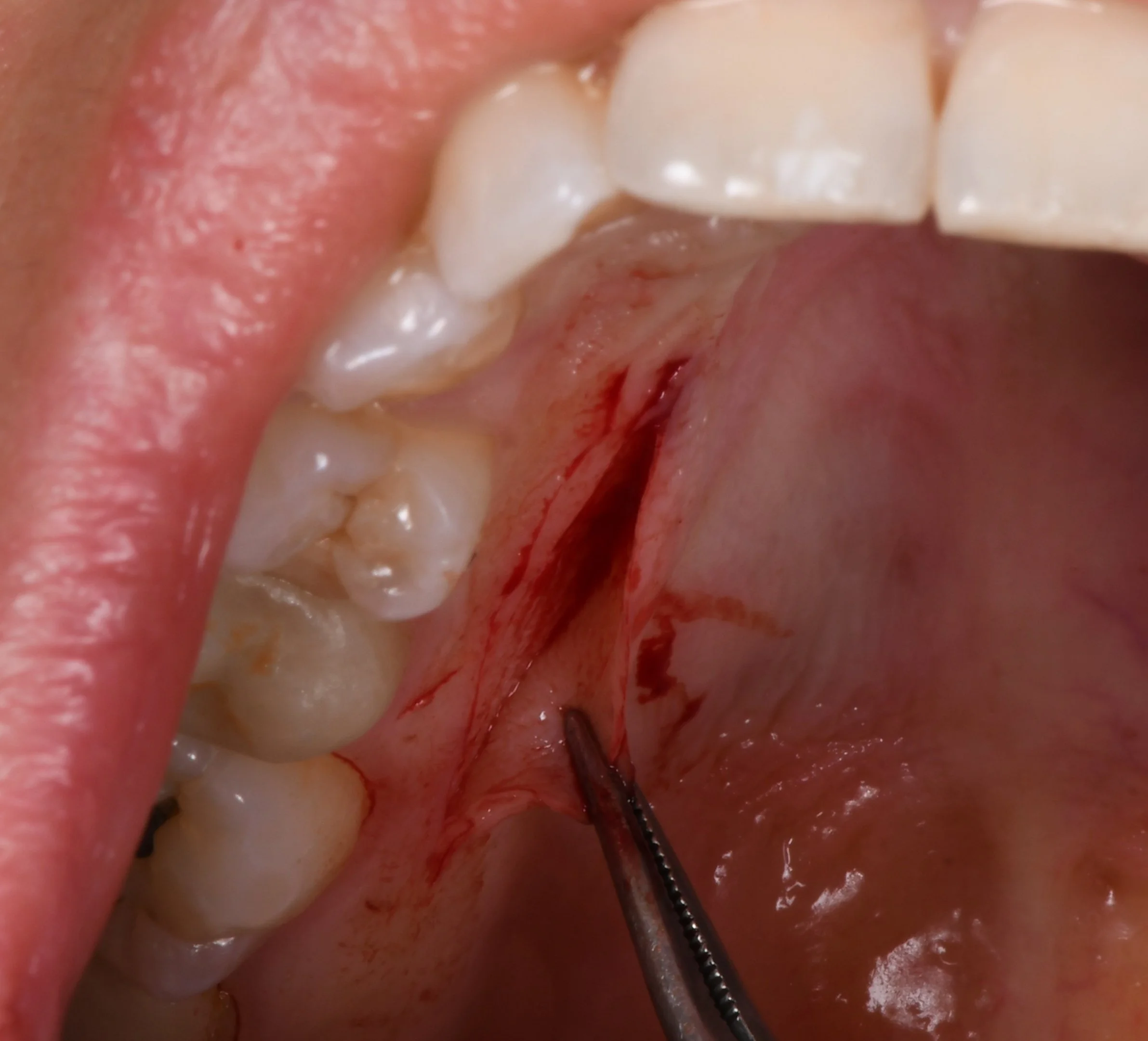 2021-08-31 13.16.46.JPG