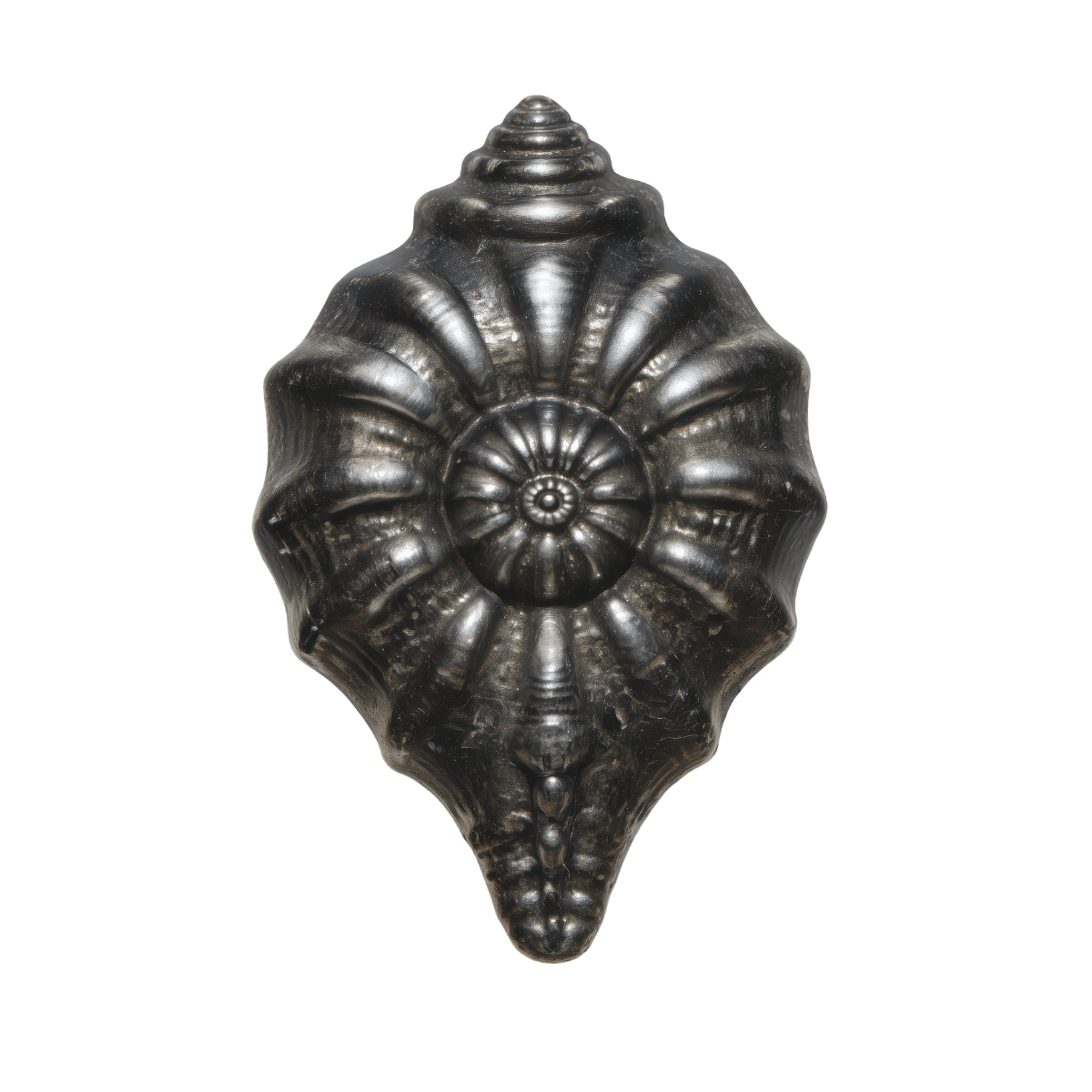 A metallic nautilus shell with a shiny, reflective surface.