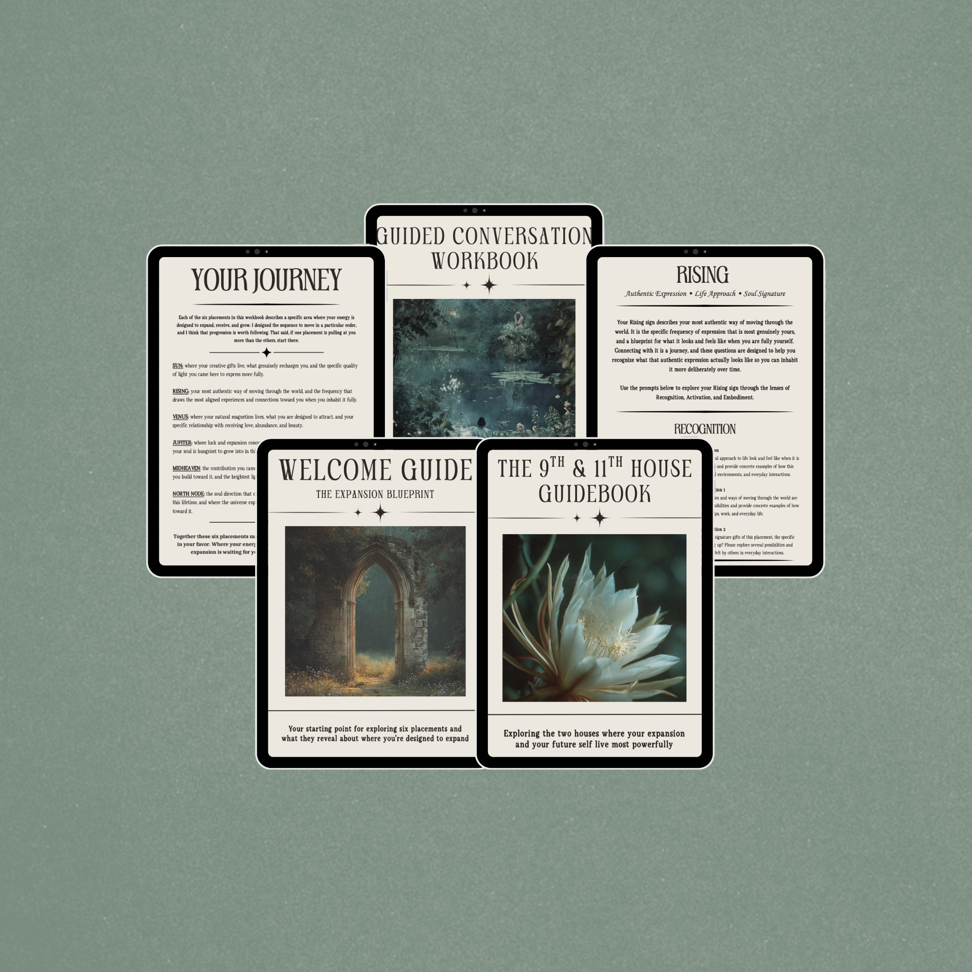 Untitled design (8).png