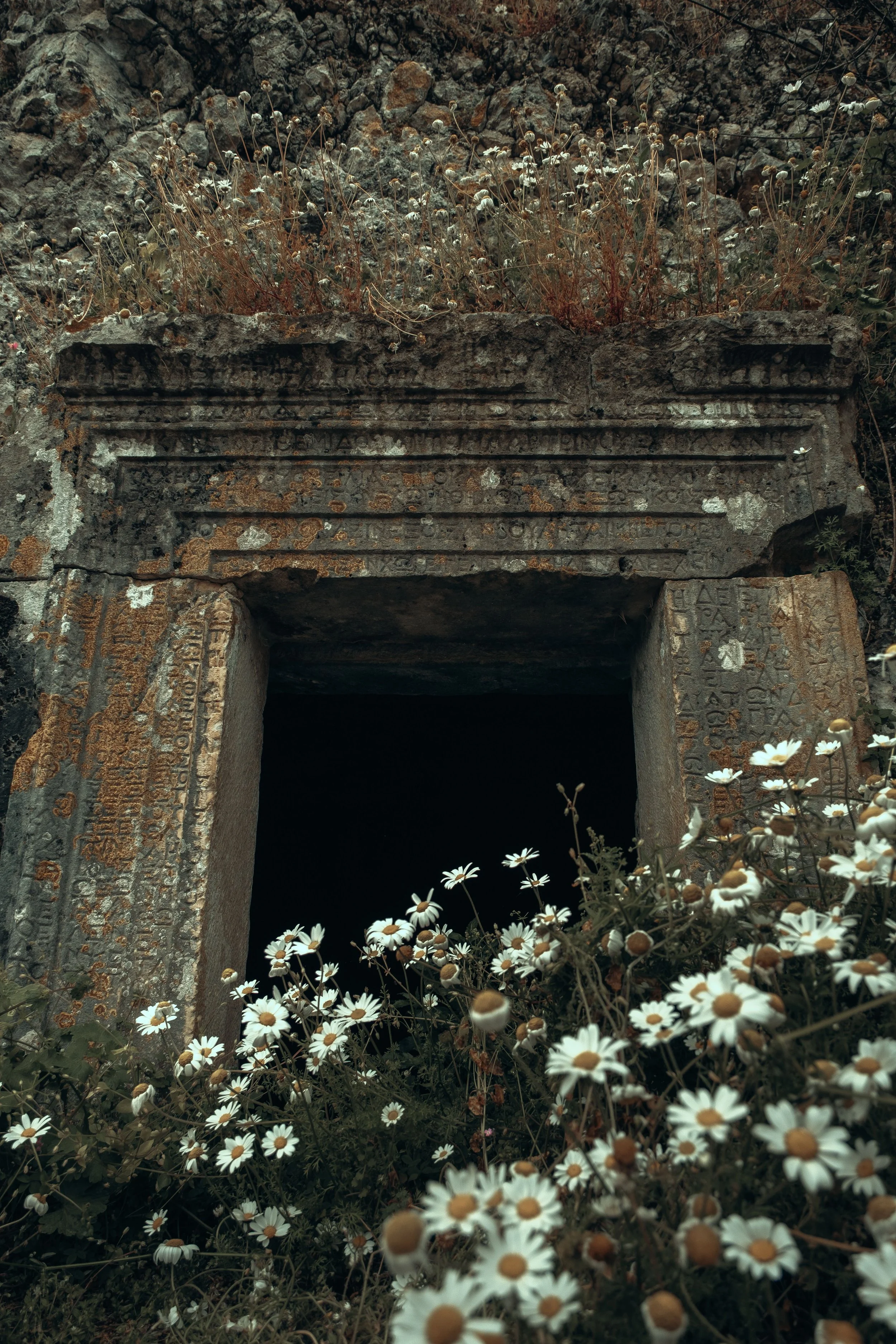 pexels-atahandemir-12563787.jpg