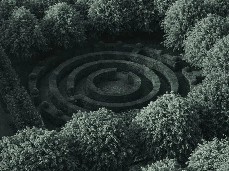 A top-down view of a circular maze surrounded by tall trees.