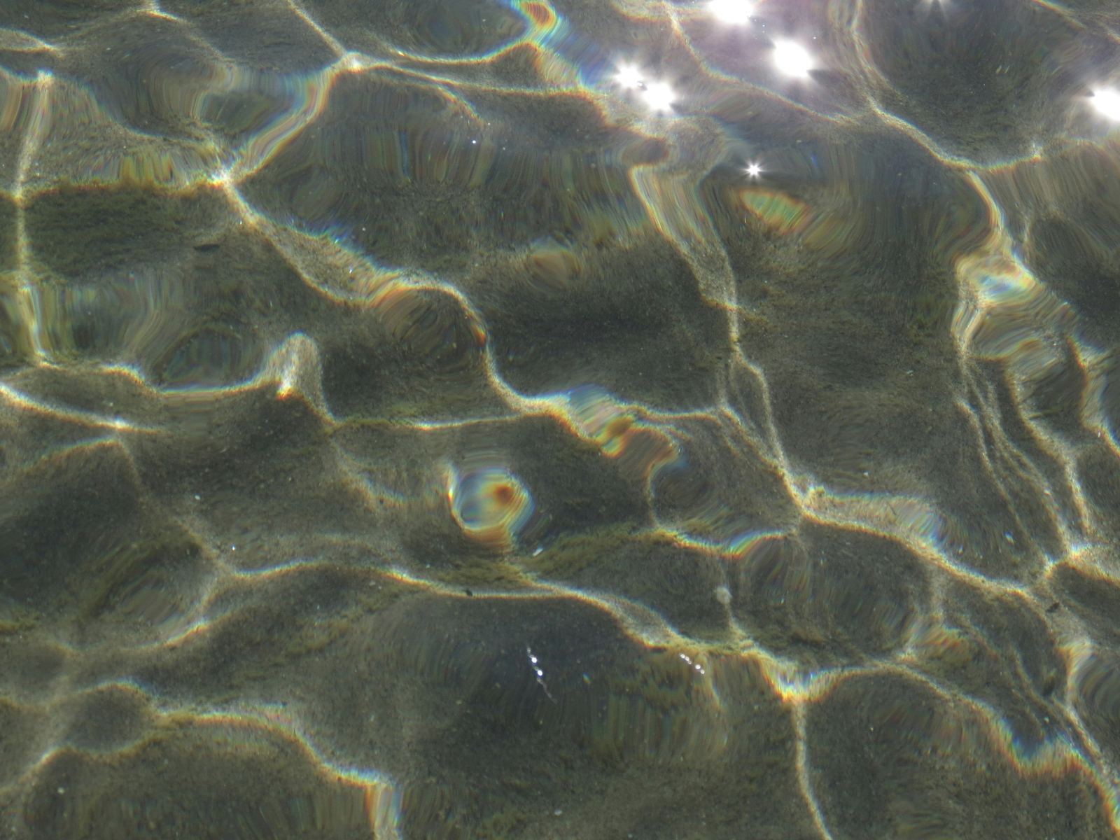 Clear water with sunlight reflections and ripples on the surface, revealing the sandy bottom beneath.