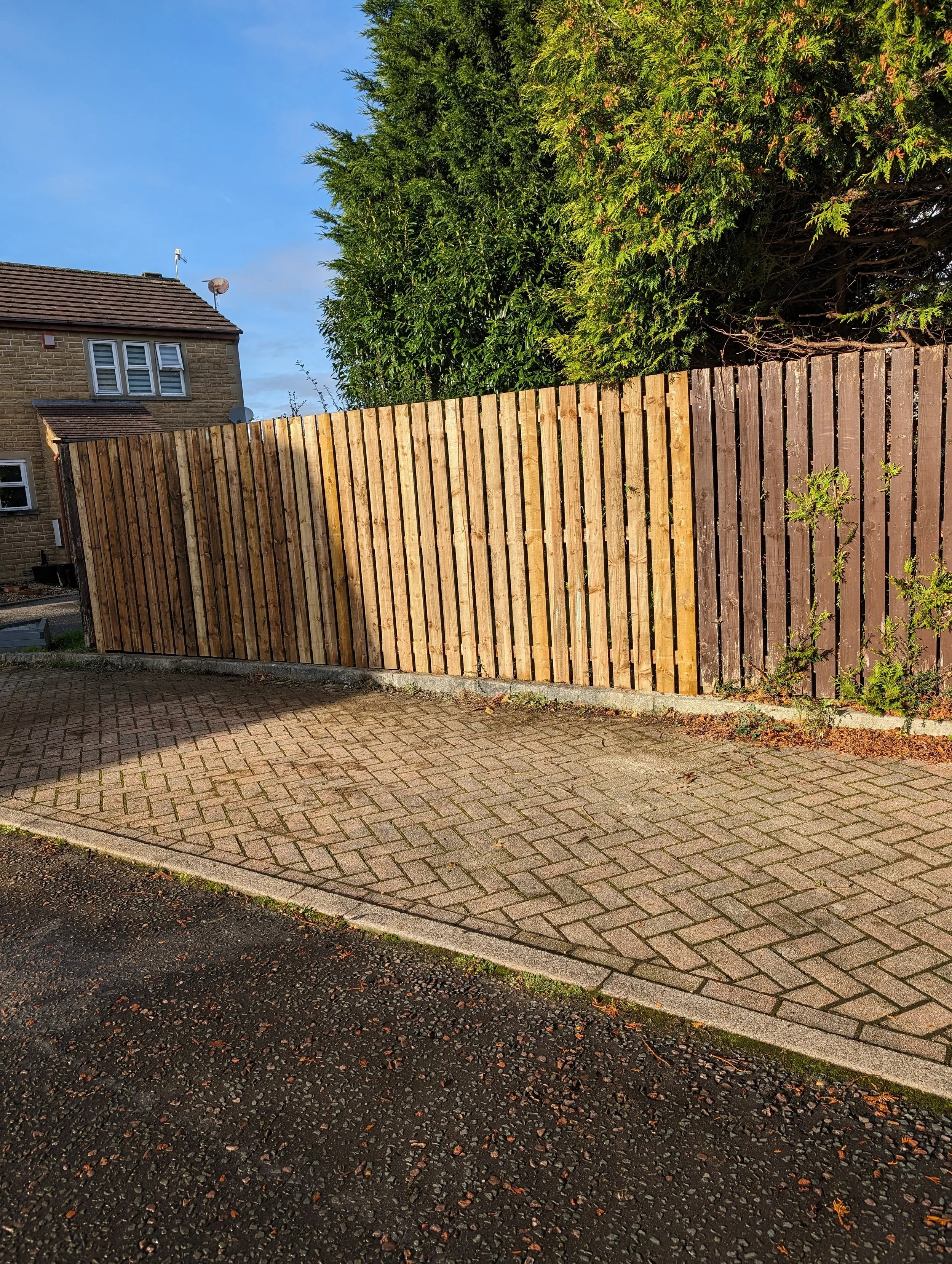 Wooden fence with two distinct shades divided in the middle, small paved area, house in the background, dense green bushes or trees on the side.