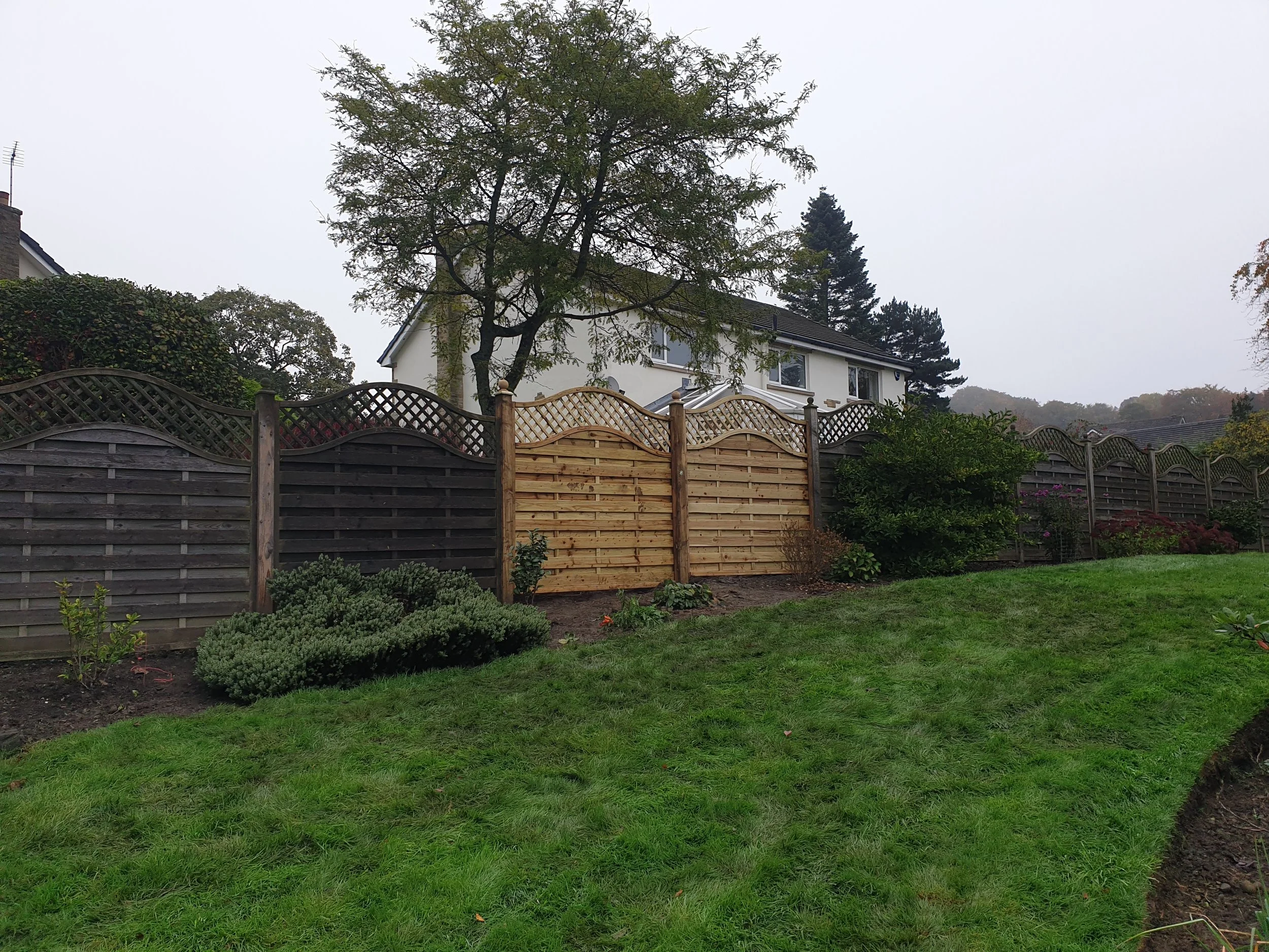 Suburban yard with green grass, wooden fence, and a white house in the background on a cloudy day.