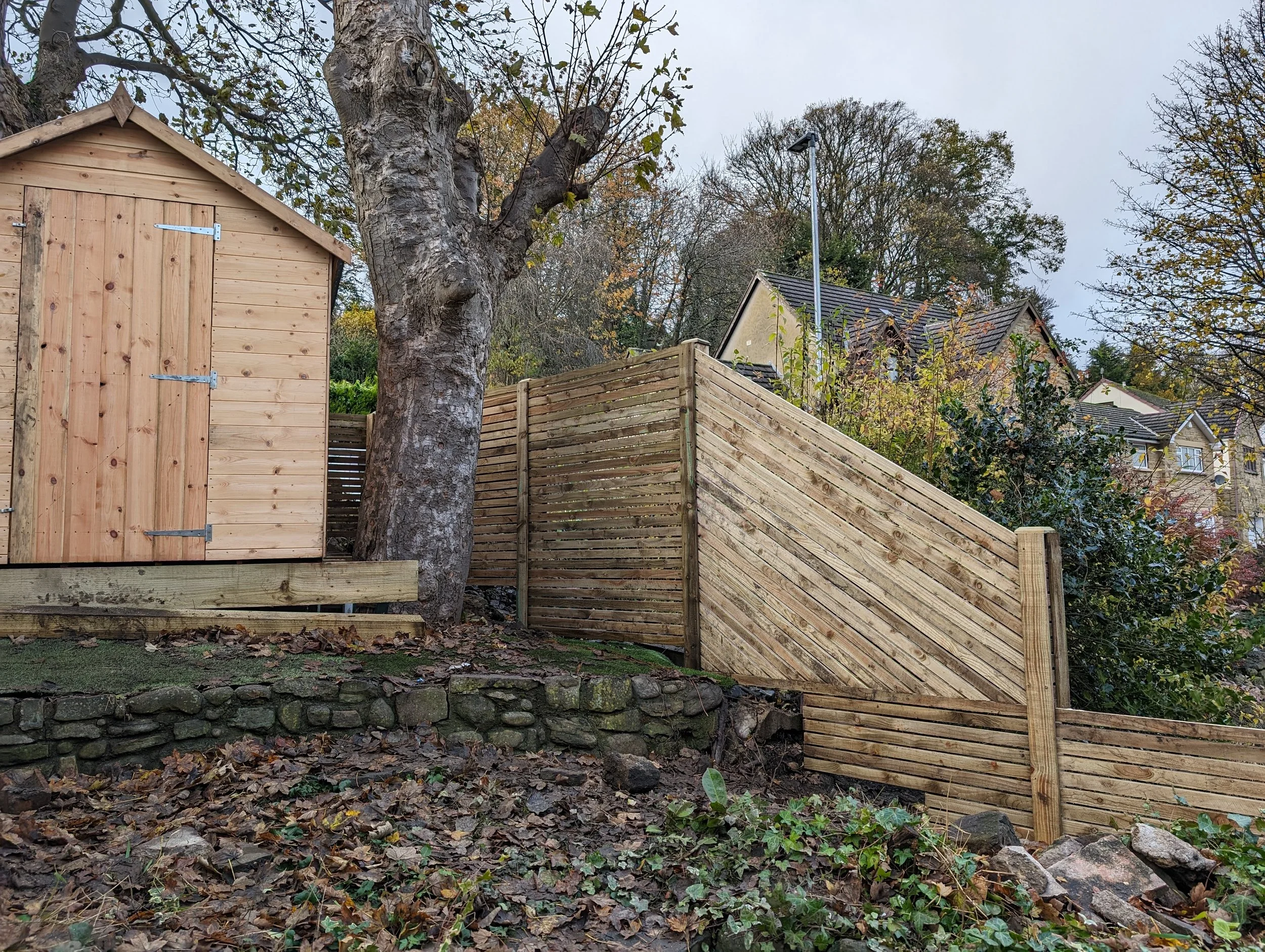 Wooden shed and diagonal fence in garden with trees