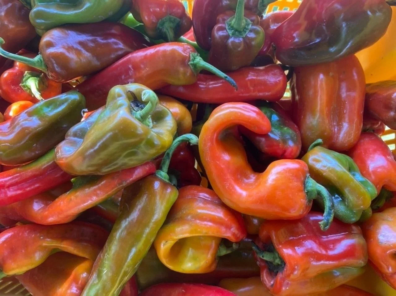 peppers.jpg
